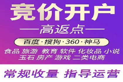 SEM主管实战案例：广告投放策略优化